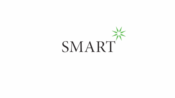 SMART 2025